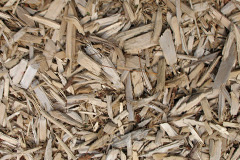 biomass boilers Carluddon
